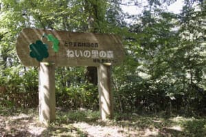 県民公園自然博物園 ねいの里 - 観光スポット | 富山市公式観光サイト