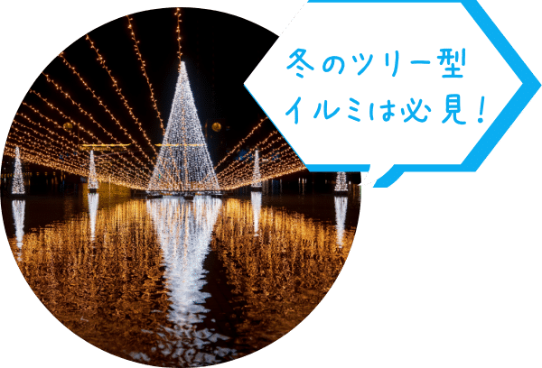 冬のツリー型イルミは必見！